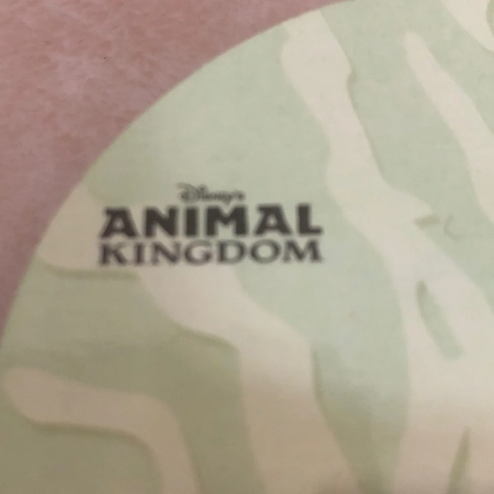 Disney 2003 Animal Kingdom 5th Anniversary Pin - Picture 4 of 7